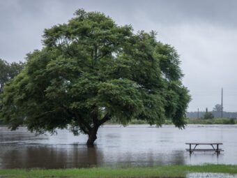 flood-waters-2023-11-27-04-53-50-utc