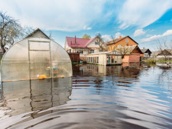 Vegetable Garden Beds In Water During Spring Flood floodwaters during natural disaster. Greenhouse Hothouse in Water deluge During A Spring Flood. inundation River